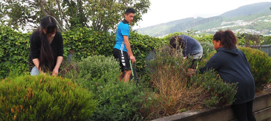 communityservice