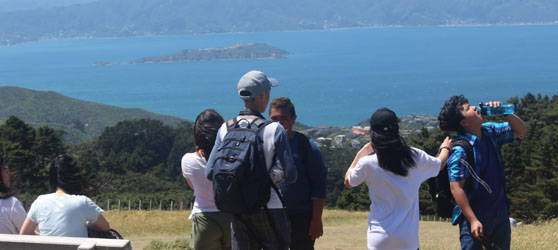 mtkaukau